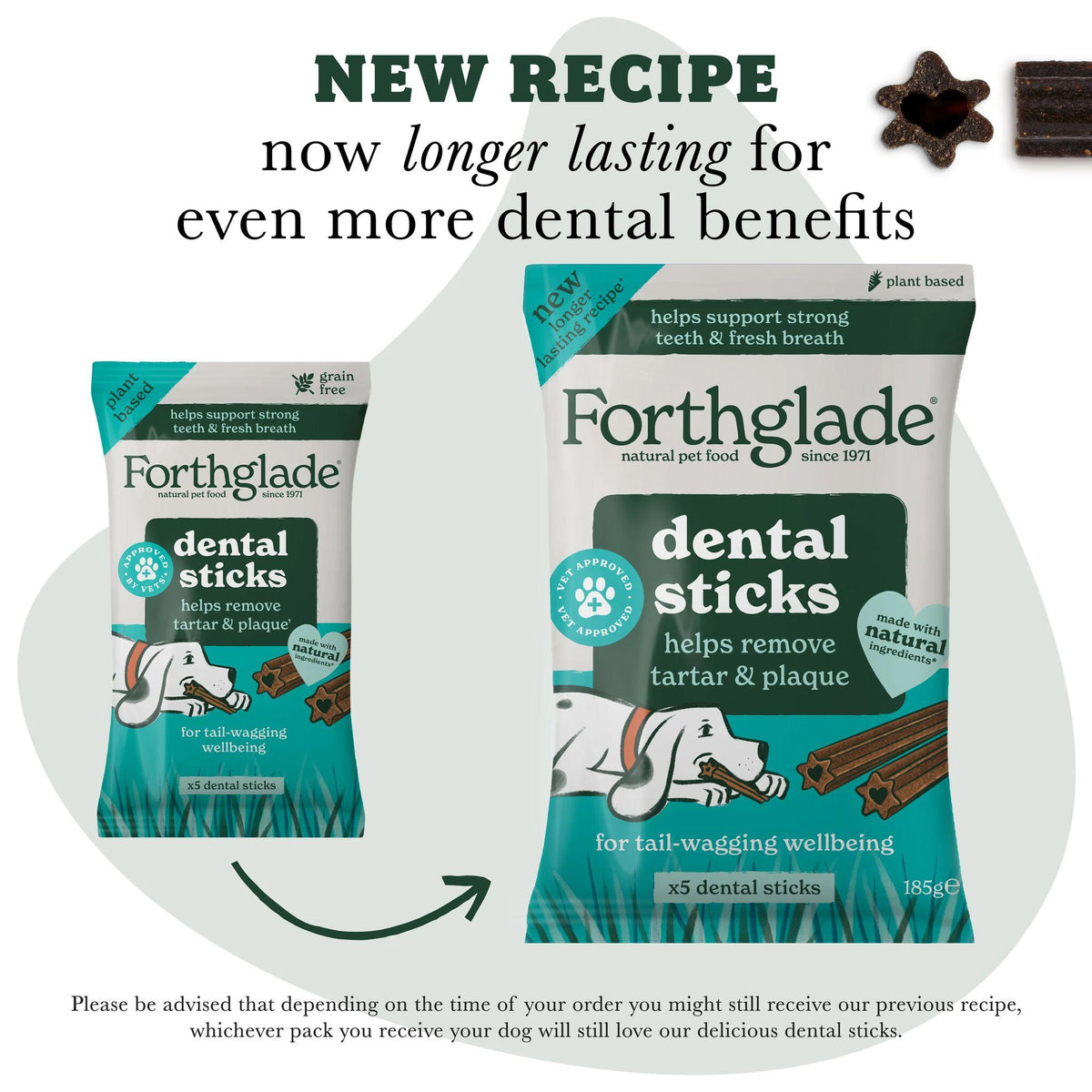 Forthglade Plant Based Grain Free Dental Sticks Dog Treats - 5 Pack