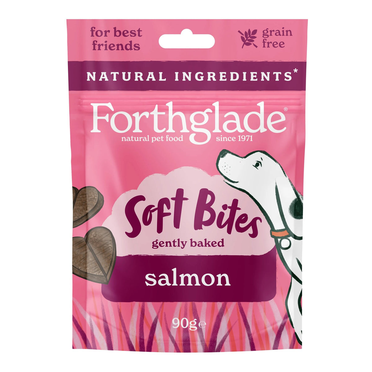 Forthglade Natural Dog Treats – Soft Bites, Dental Sticks & Meaty Snacks