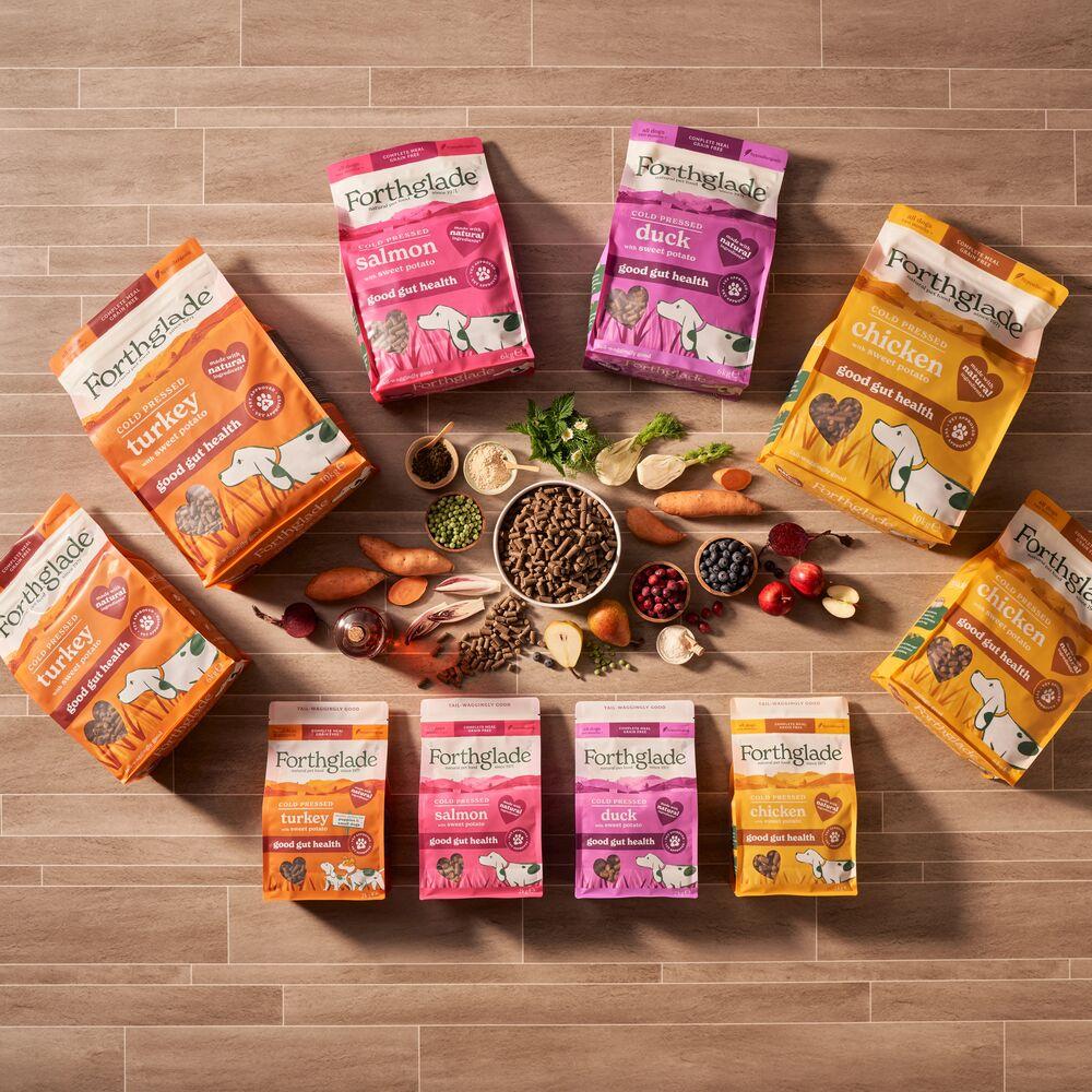 Forthglade Complete Natural Dry Cold Pressed Salmon Dog Food - 2kg