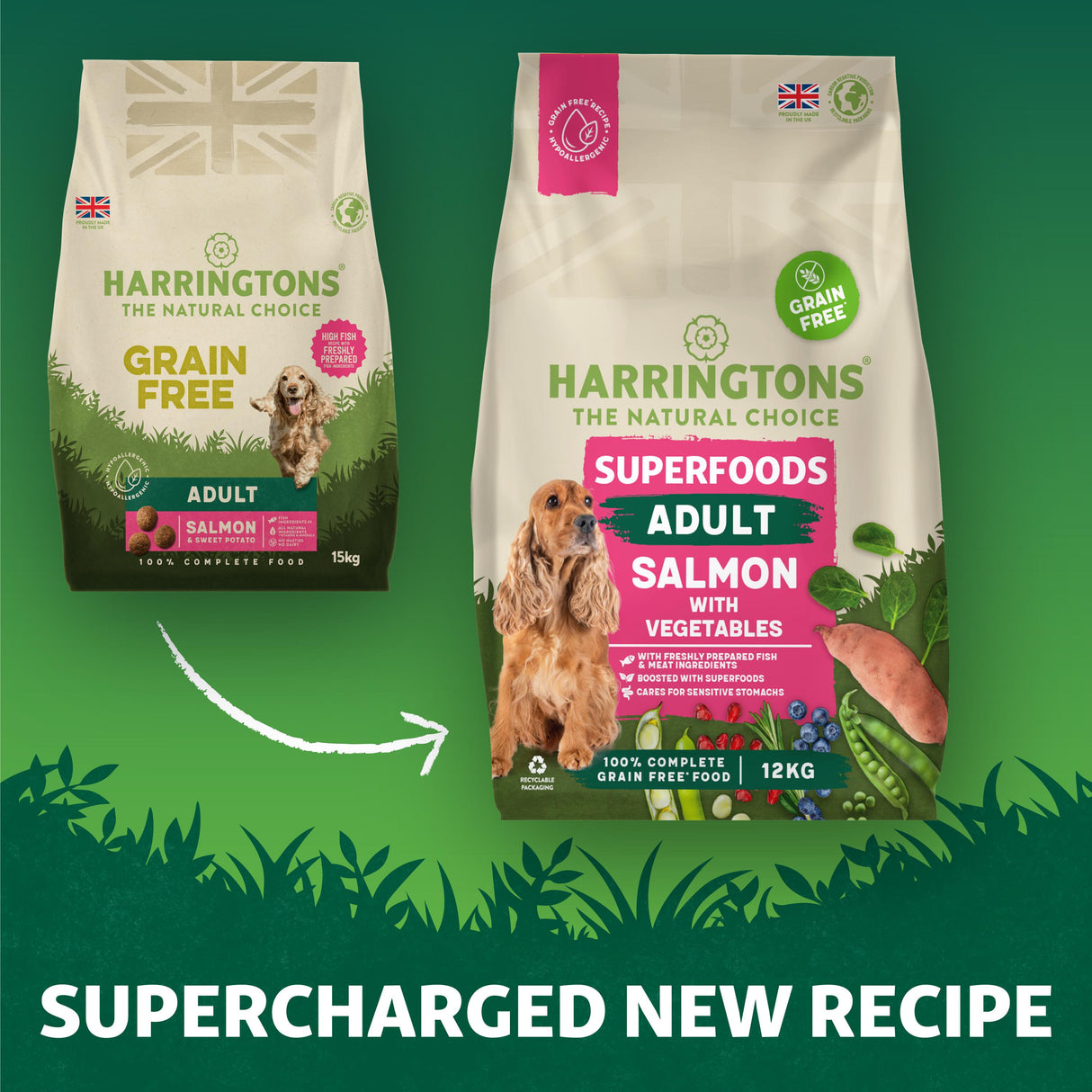 Harrington's Grain Free Superfoods Salmon Dry Dog Food - 12kg