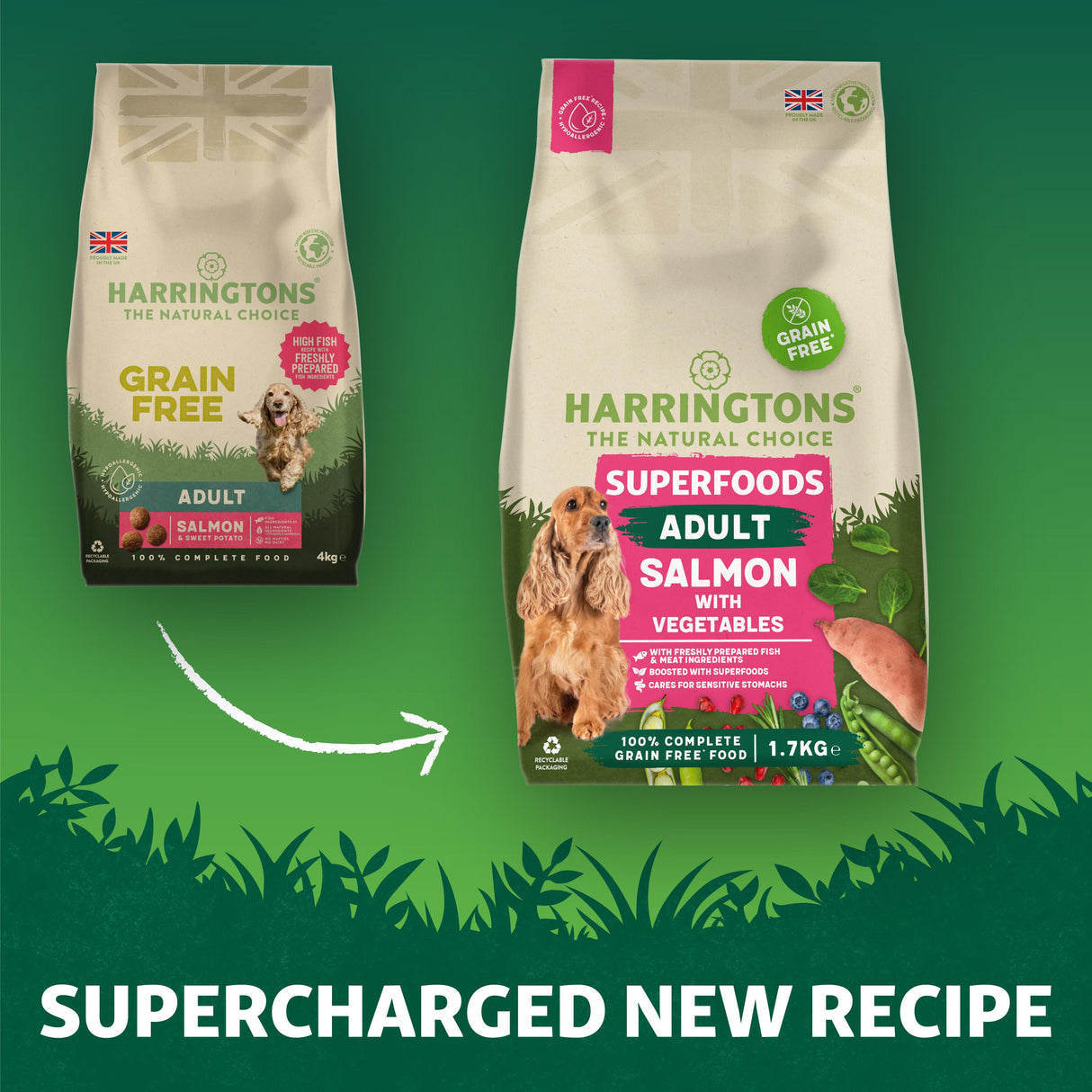 Harrington's Grain Free Superfoods Salmon Dry Dog Food- 1.7kg