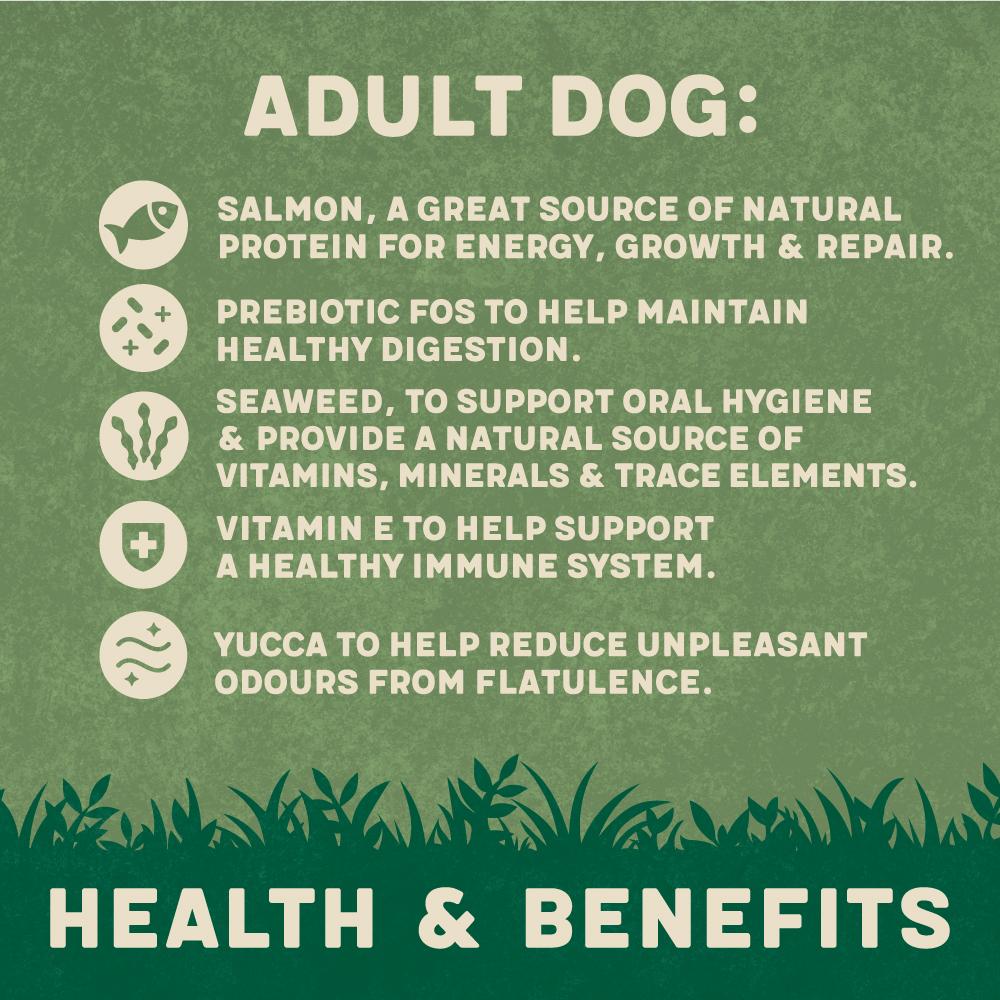 Harringtons Salmon & Potato Dry Dog Food - 12kg