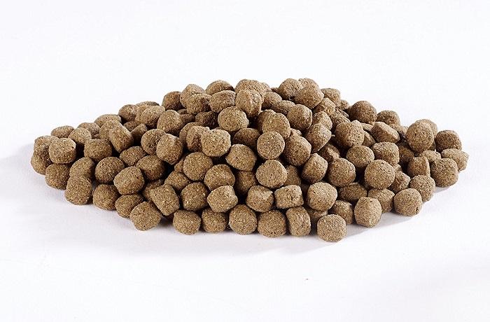 Harringtons Turkey & Veg Dry Dog Food - 15kg
