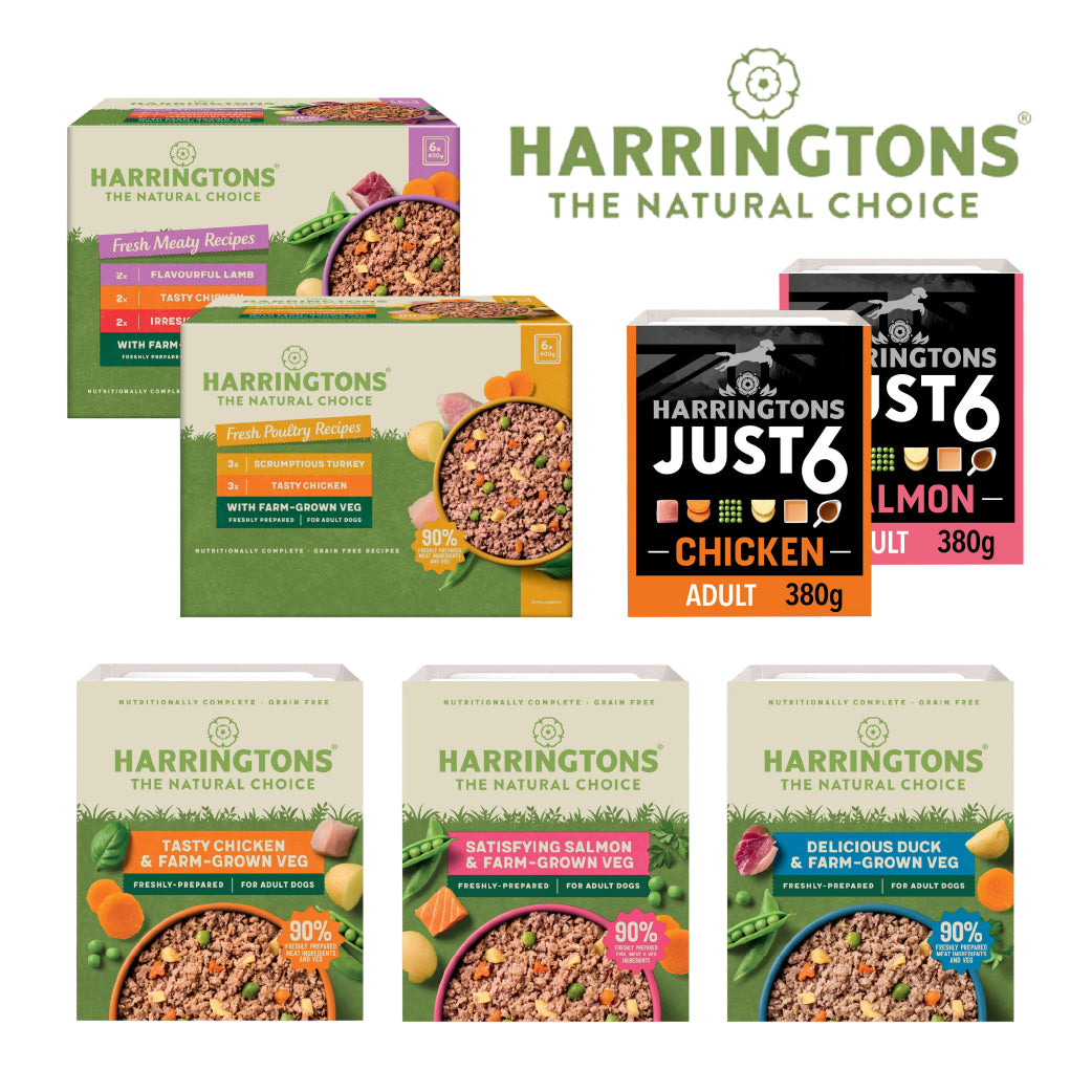 Harringtons Wet Dog Food – Grain Free, Just 6 & Mixed Variety Packs