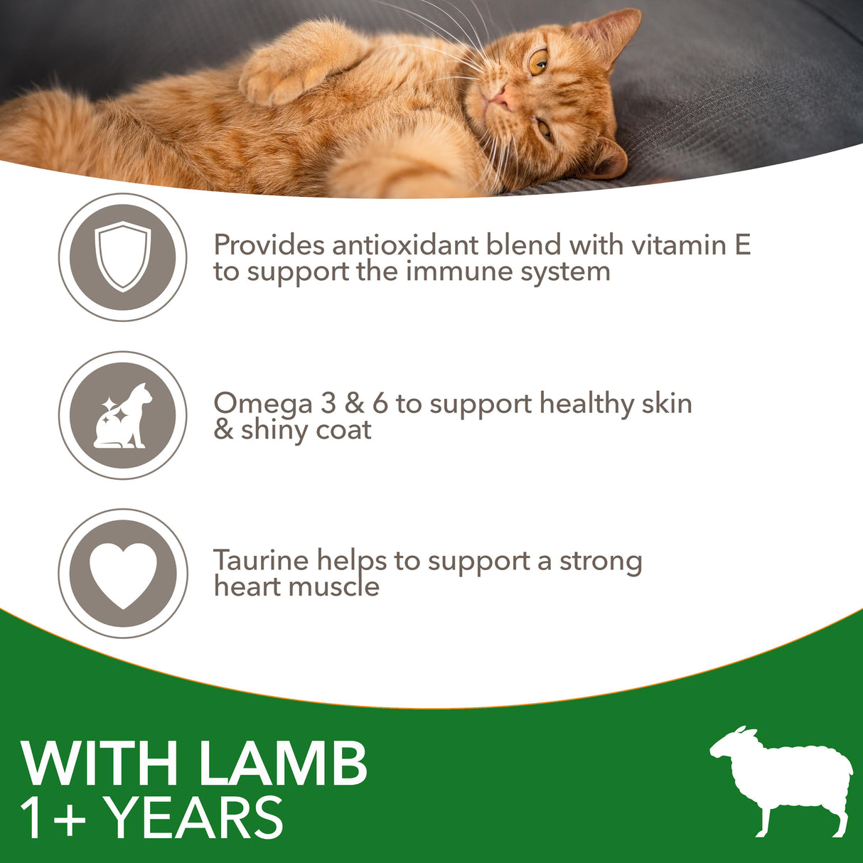 Iams Adult Lamb Dry Cat Food - 3kg