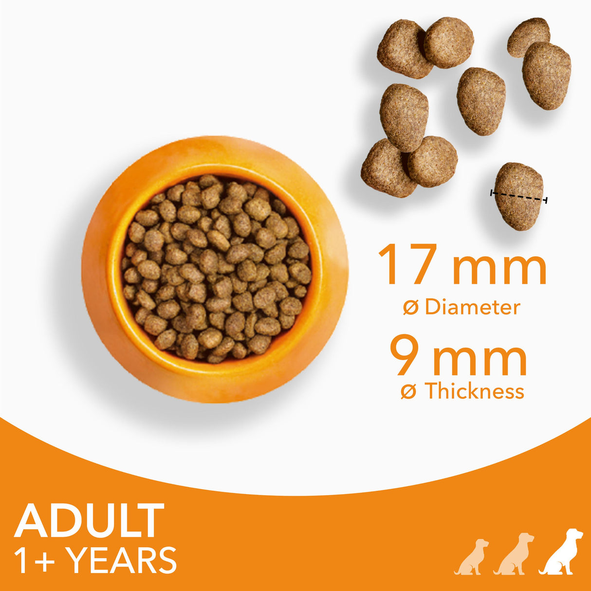 Iams for Vitality Adult Large Chicken Dry Dog Food - 2kg