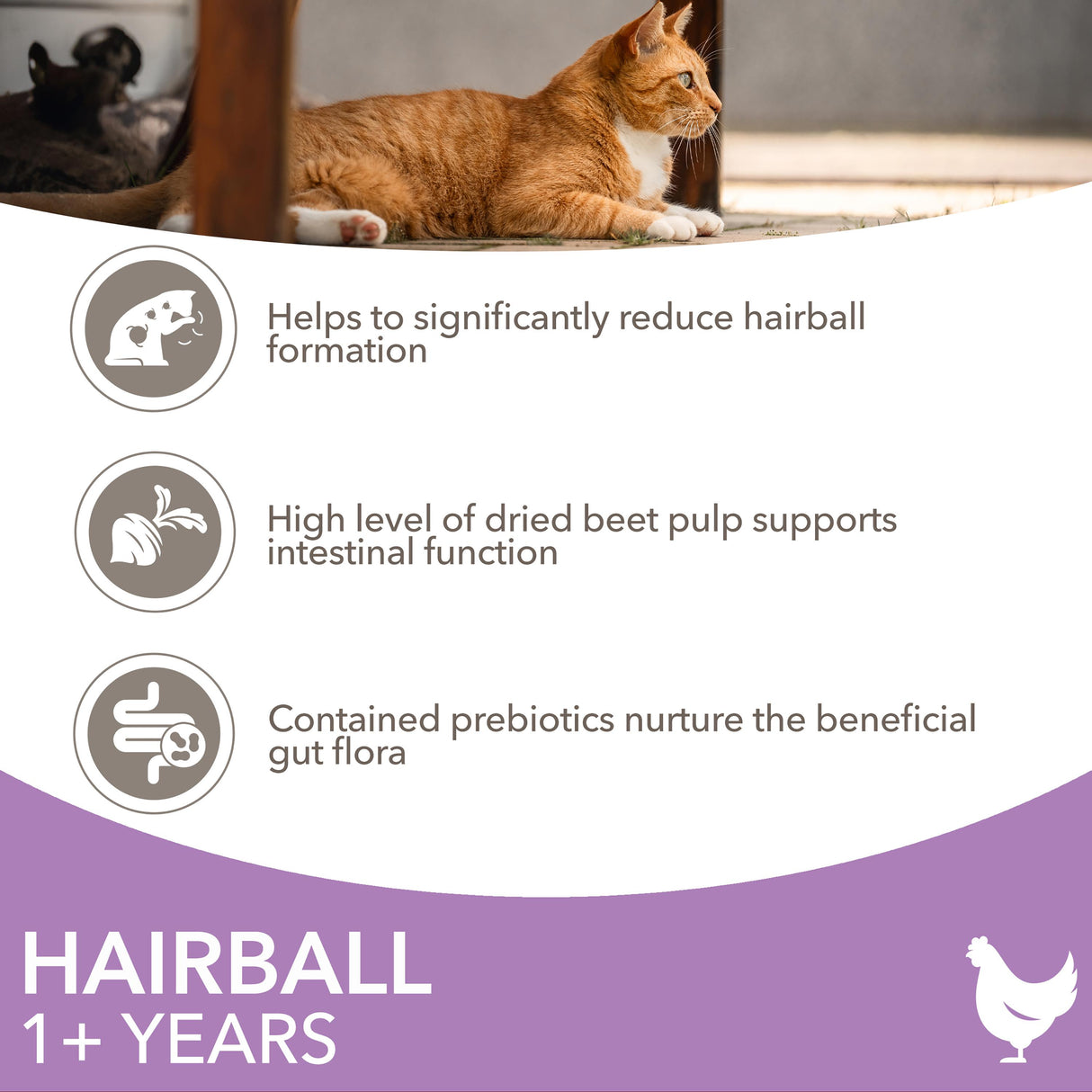 Iams For Vitality Hairball Chicken Dry Cat Food - 10kg