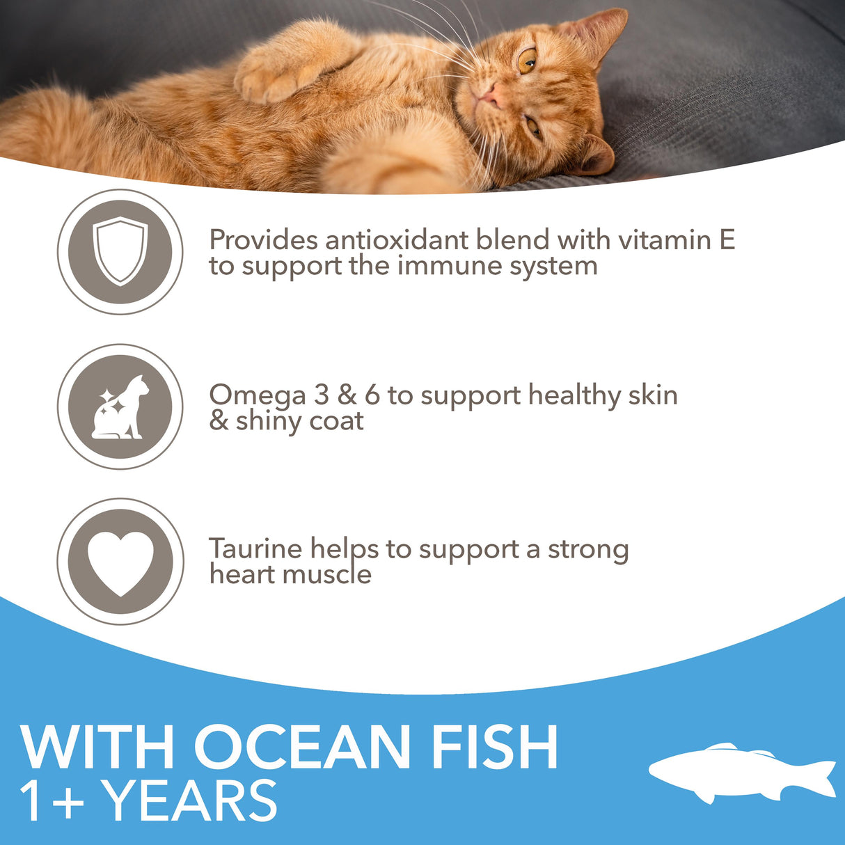 Iams for Vitality With Ocean Fish Adult Dry Cat Food - 10kg
