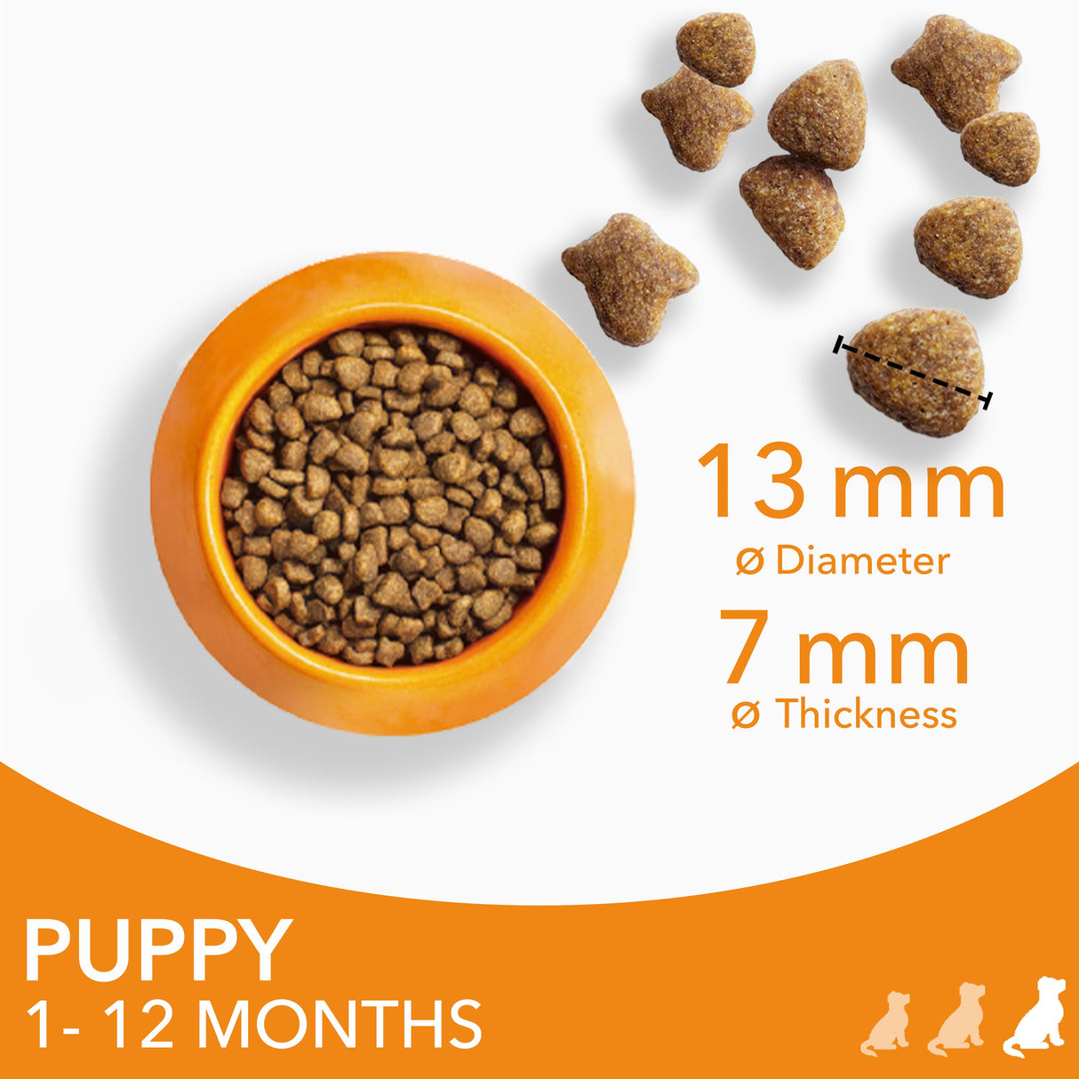 Iams for Vitality Large Breed Puppy With Fresh Chicken Dry Dog Food - 2Kg