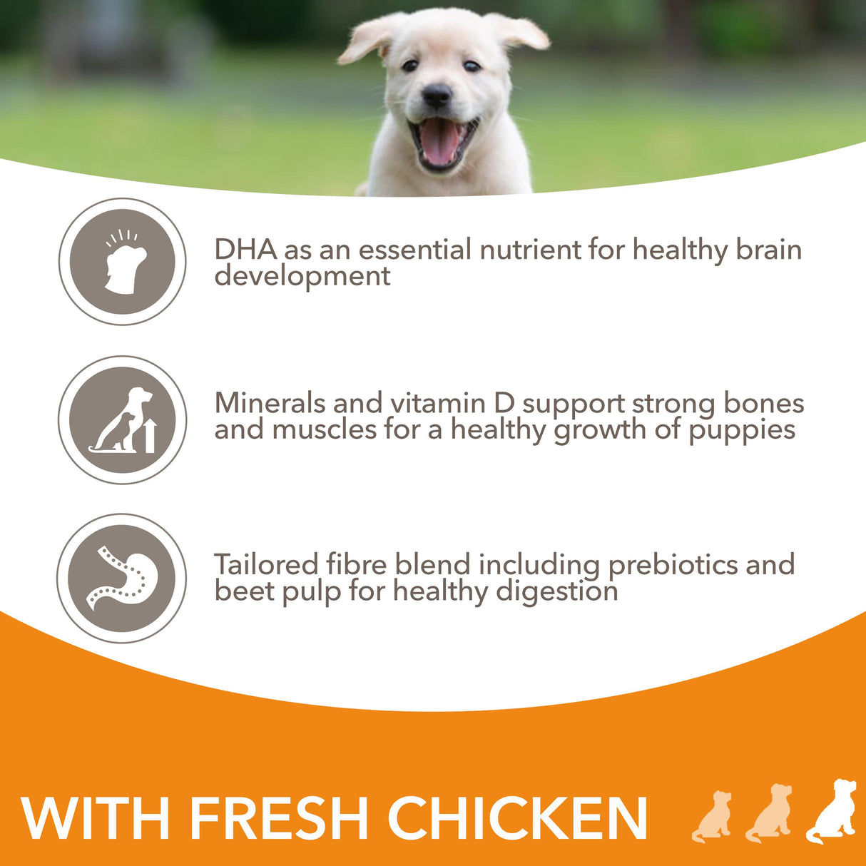 Iams Puppy/Junior Large Breed Chicken Dry Dog Food - 12kg