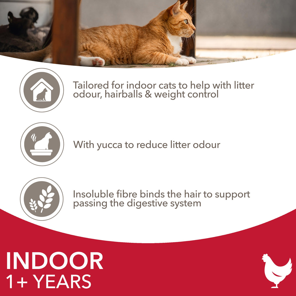 Iams for Vitality Indoor Chicken Cat Food - 10kg