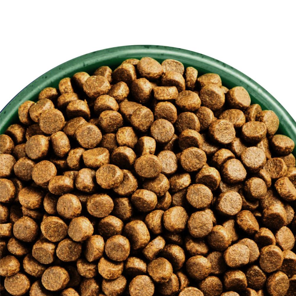 James Wellbeloved Adult Dog High Protein Chicken & Turkey - 10kg
