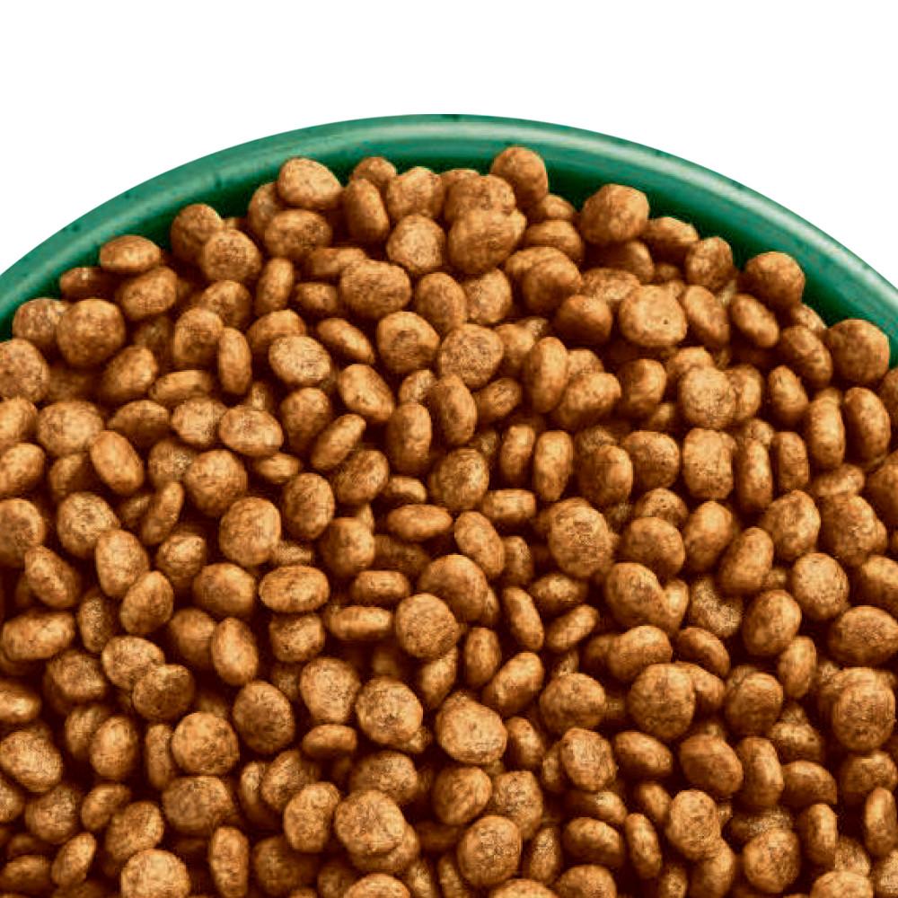 James Wellbeloved Adult Grain Free Turkey Cat Food - 10kg