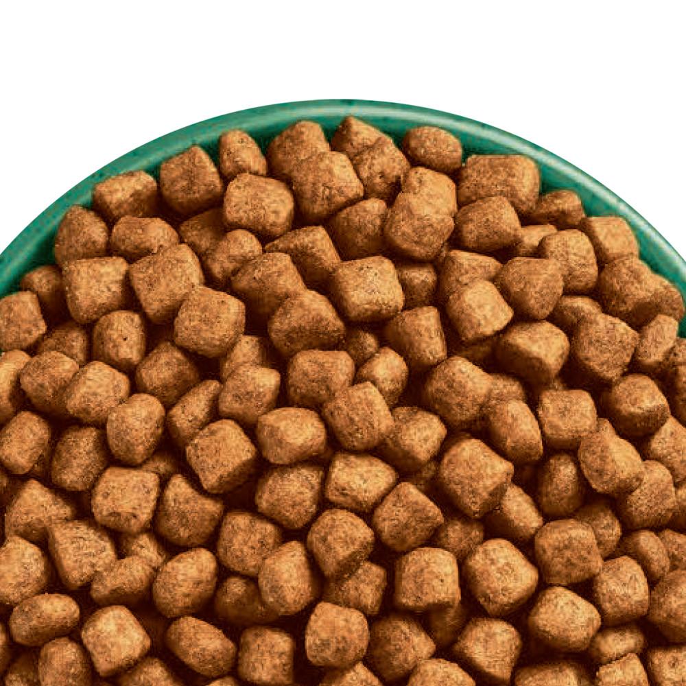 James Wellbeloved Adult Oral Health Turkey Dry Cat Food - 1.5kg