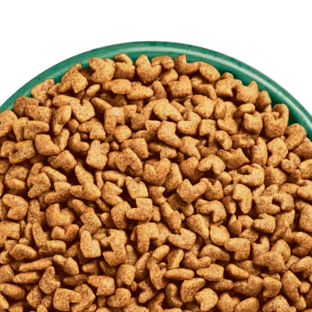 James Wellbeloved Fish & Rice Senior Dry Cat Food - 1.5kg