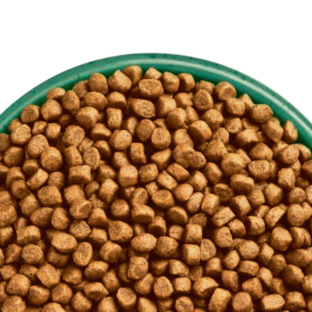 James Wellbeloved Senior Complete Dry Cat Food Turkey - 10kg