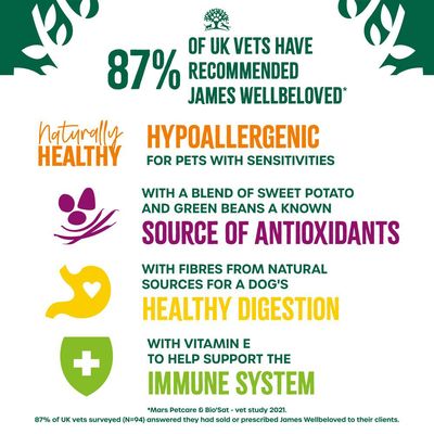 James Wellbeloved Superfoods Adult Wet Dog Food Turkey Gravy Pouch - 12 x 90g
