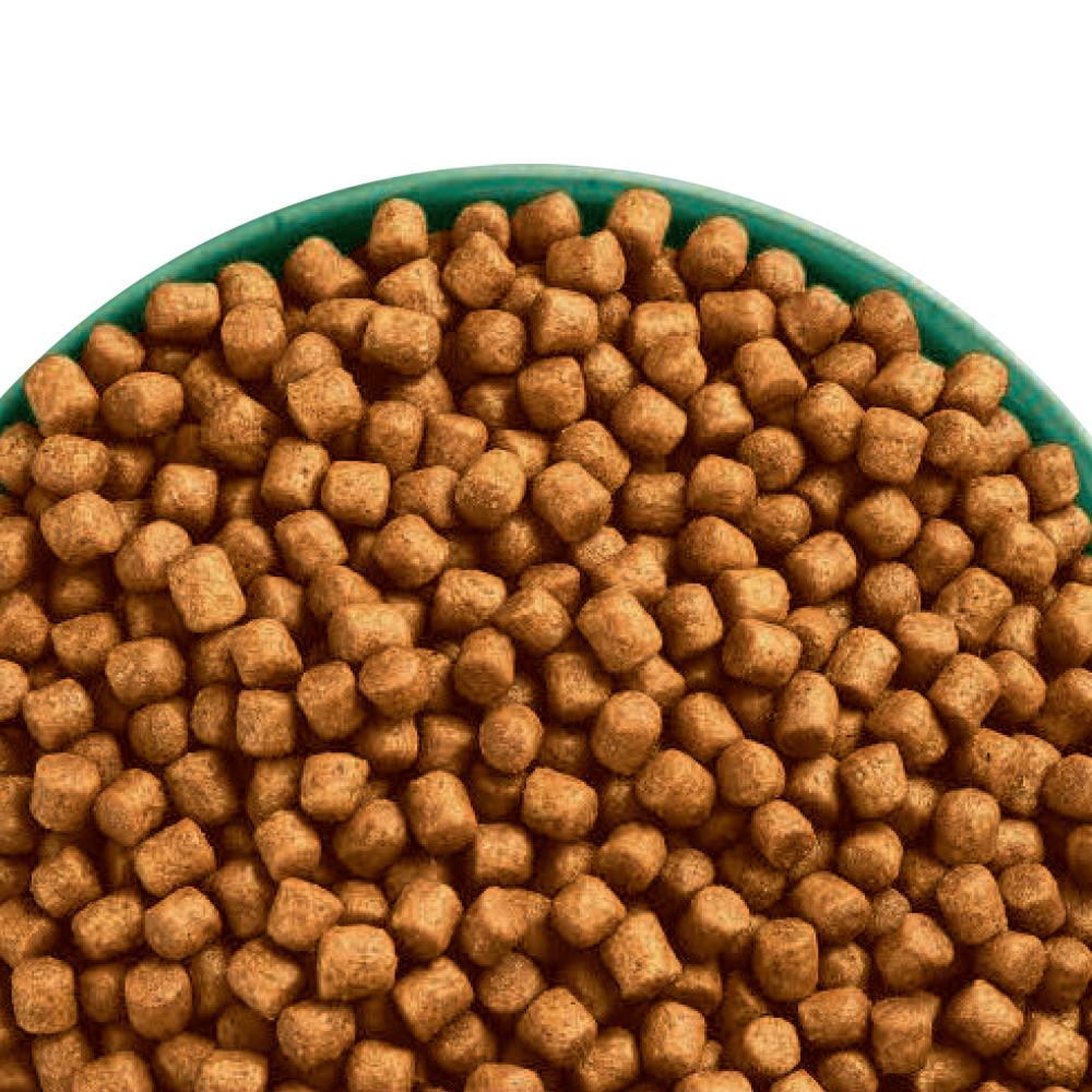 James Wellbeloved Adult Hairball Turkey Dry Cat Food - 4kg