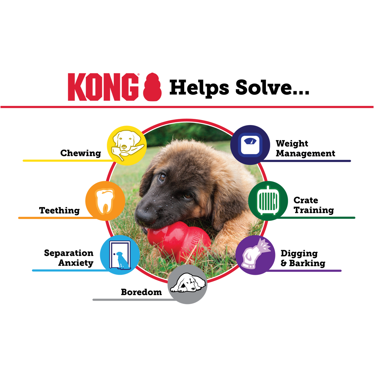 KONG Classic Extra Large