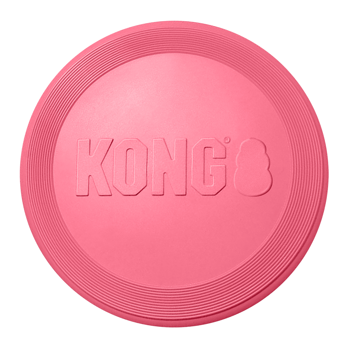 KONG Puppy Flyer
