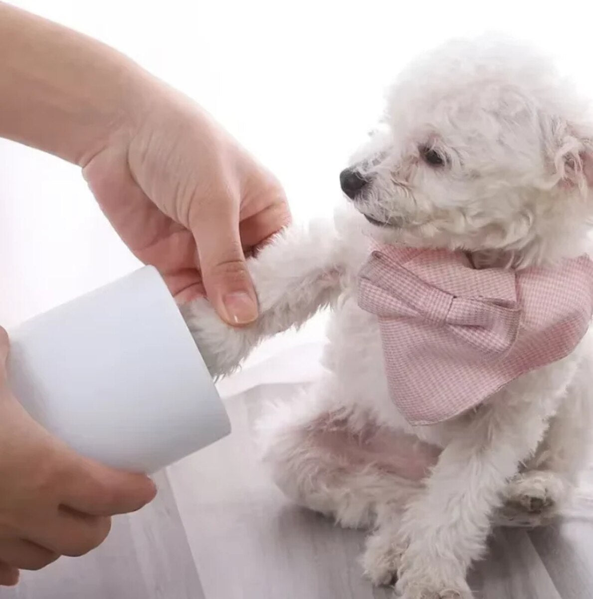 MuckyPup Cup