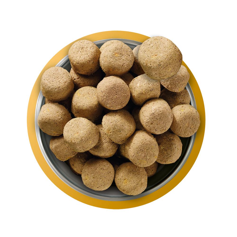 Natures Menu Complete Freeze Dried Chicken Dog Food - 625g