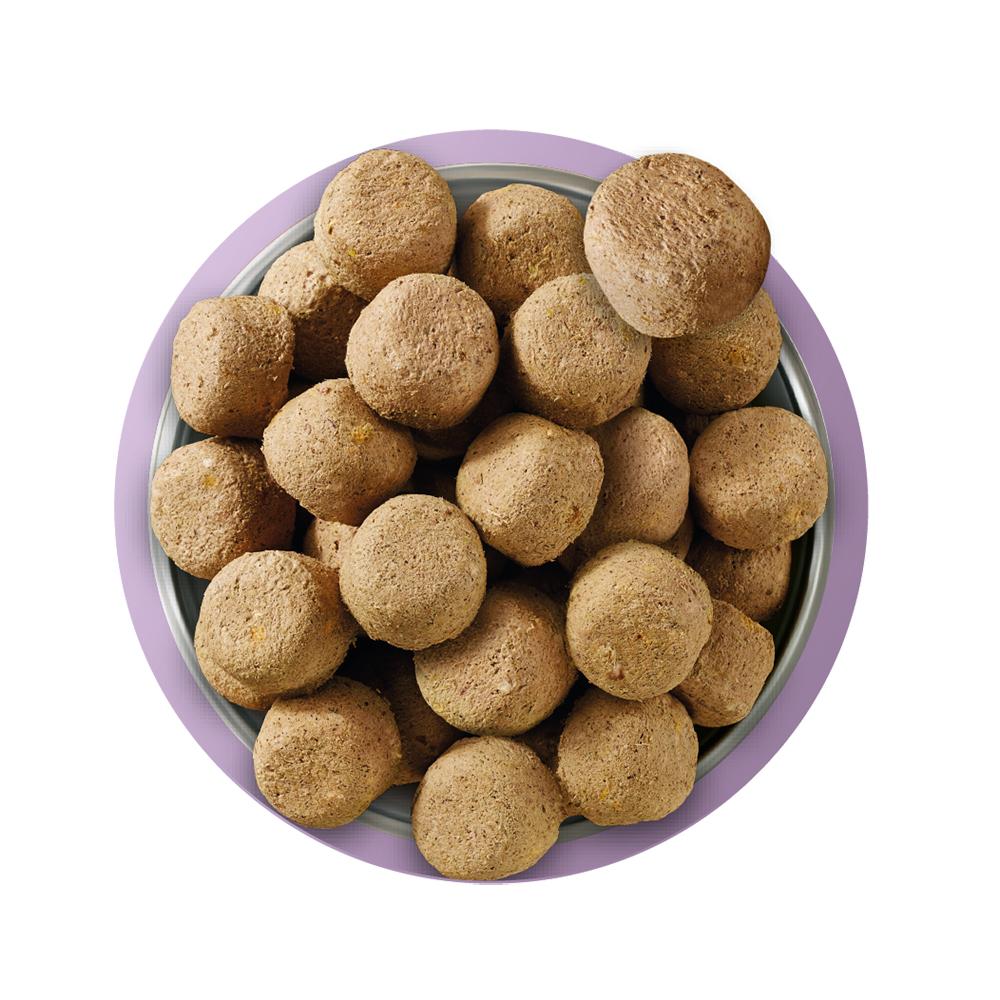 Natures Menu Complete Freeze Dried Turkey Dog Food - 625g