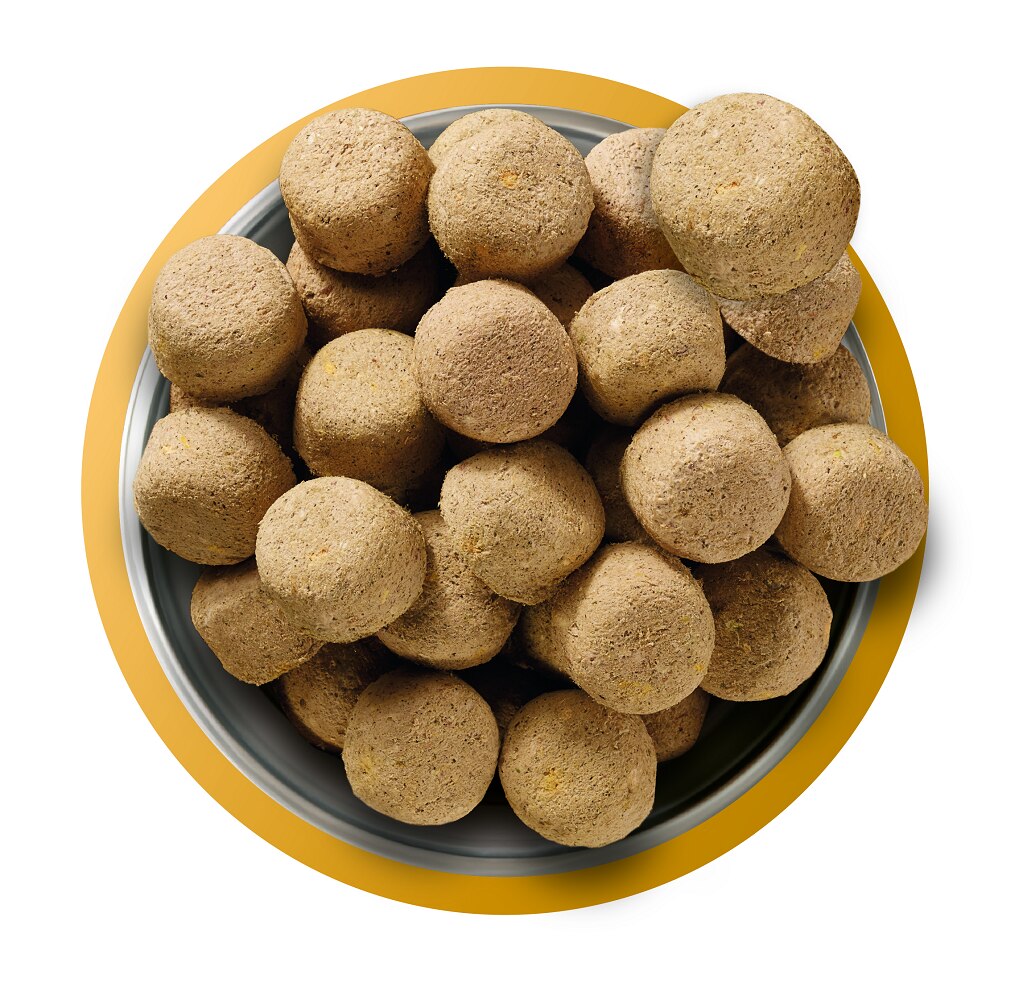 Natures Menu Freeze-Dried 80/20 Chicken Dog Food - 120g