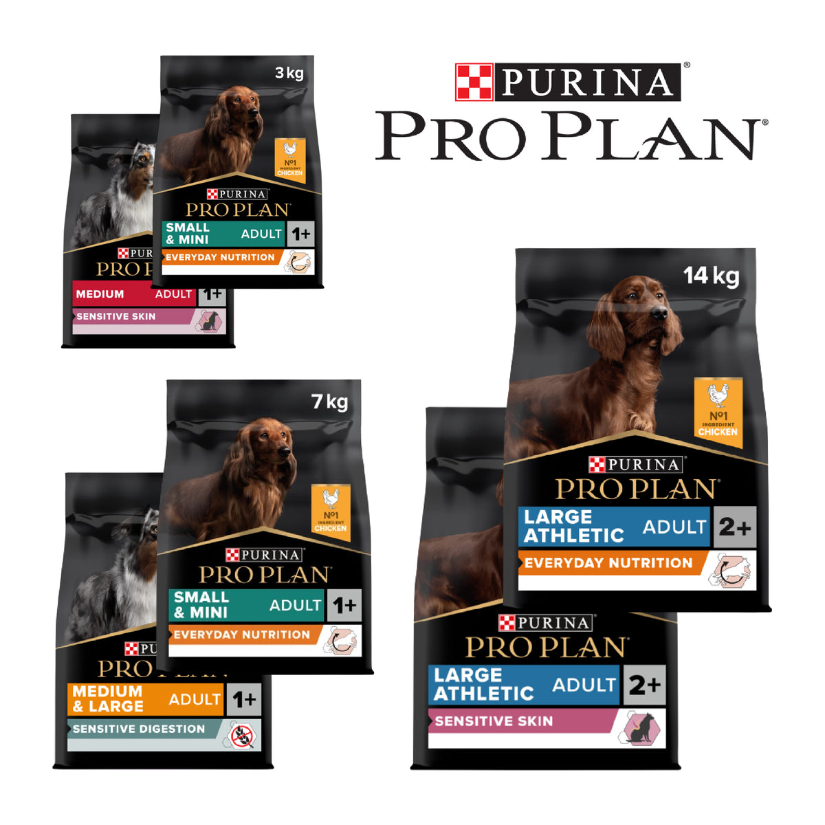Pro Plan Dry Dog Food – Adult & Senior Recipes