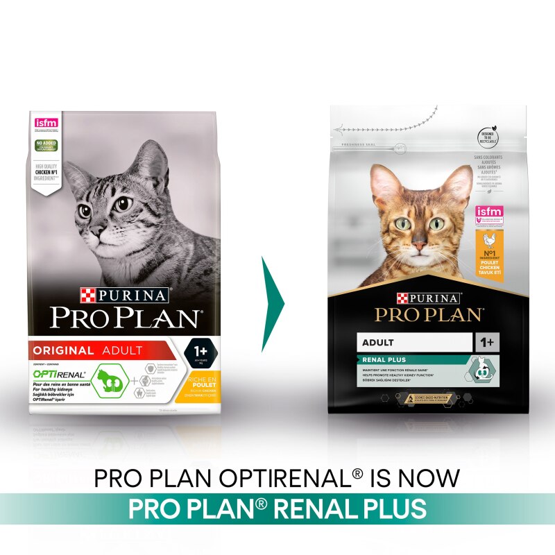 Pro Plan Cat Adult Chicken & Rice Dry Cat Food - 10kg