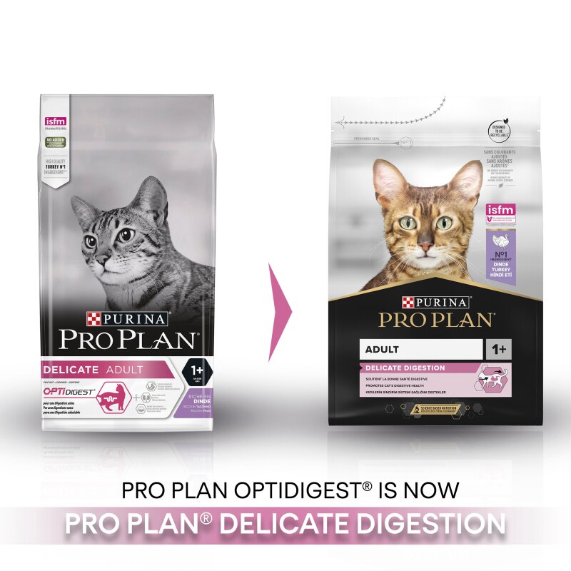 Pro Plan Delicate Digestion Turkey Dry Cat Food - 3kg