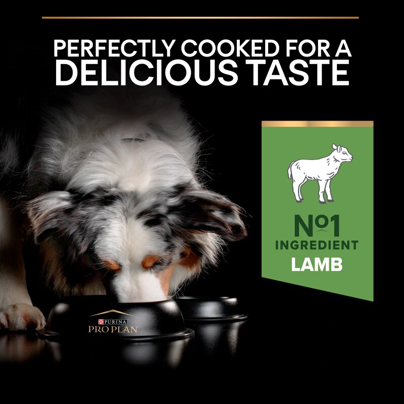 Pro Plan Medium Sensitive Digestion Lamb Dry Dog Food - 14kg