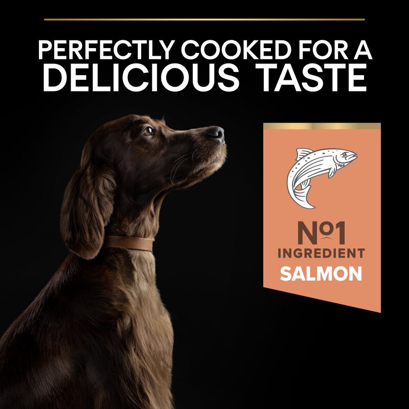 Pro Plan Large Athletic Sensitive Skin Salmon Dry Dog Food - 14kg
