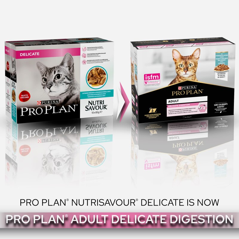 Pro Plan Delicate Digestion Ocean Fish in Gravy Wet Cat Food - 10 x 85g