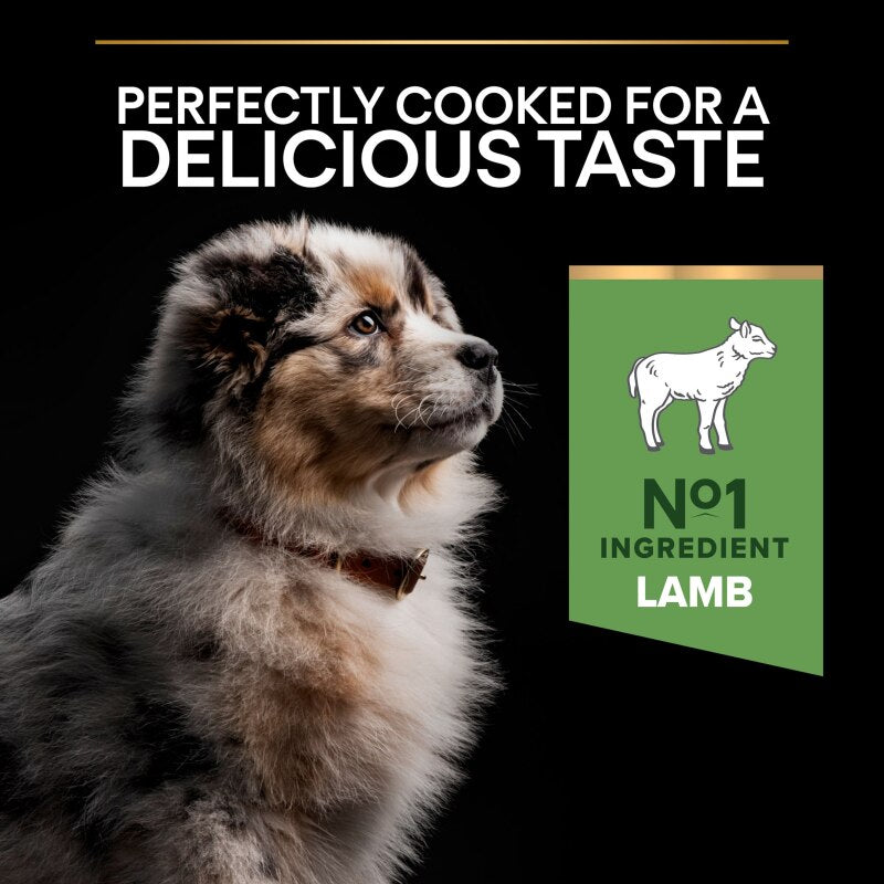 Pro Plan Medium Puppy Sensitive Digestion Lamb Dry Dog Food - 12kg