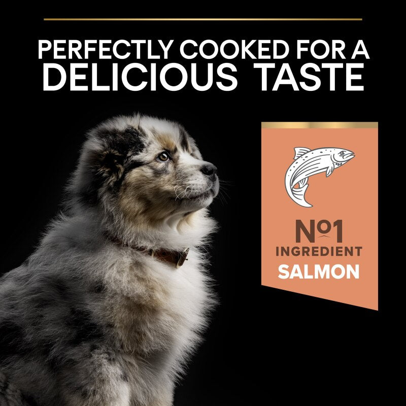 Pro Plan Medium Puppy Sensitive Skin Salmon Dry Dog Food - 3kg