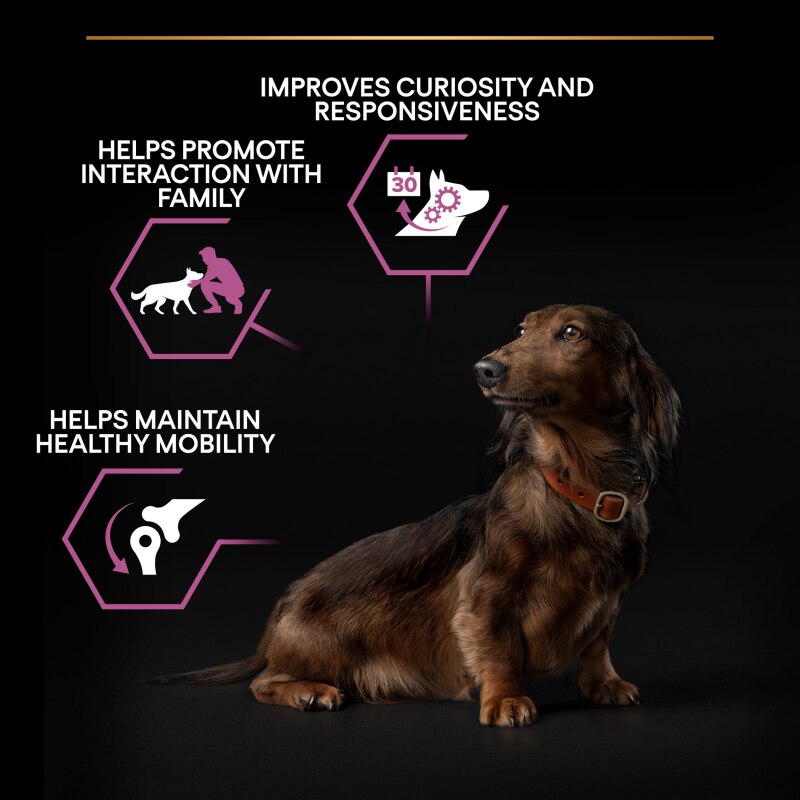 PRO PLAN Small & Mini Adult Senior Dry Dog Food Age Defence 9+ Rich in Chicken - 3kg
