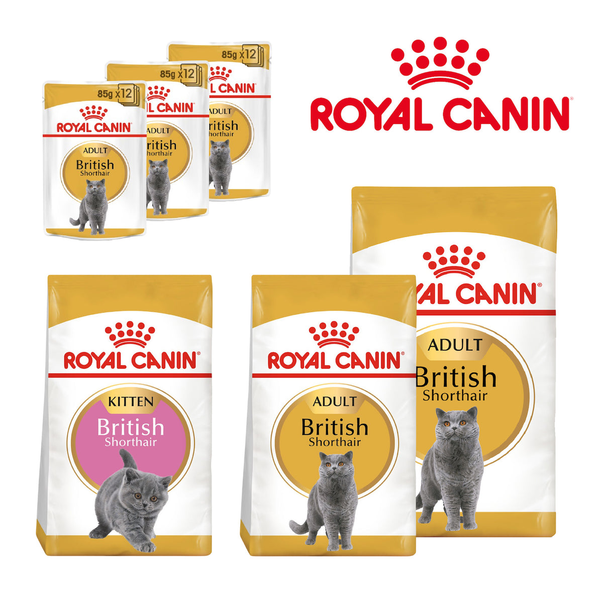 Royal Canin British Shorthair Cat Food – Breed Nutrition
