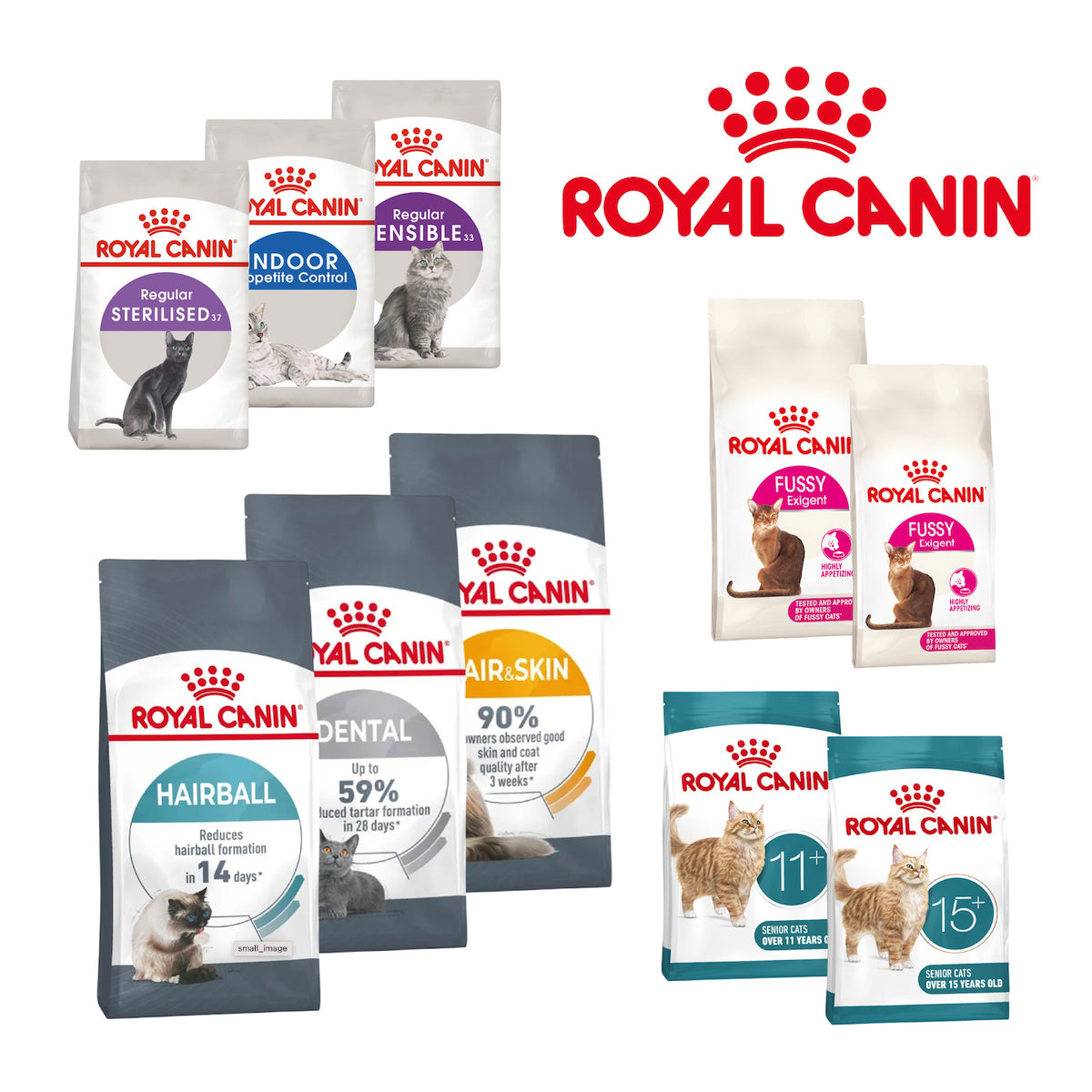 Royal Canin Cat Health Dry Food
