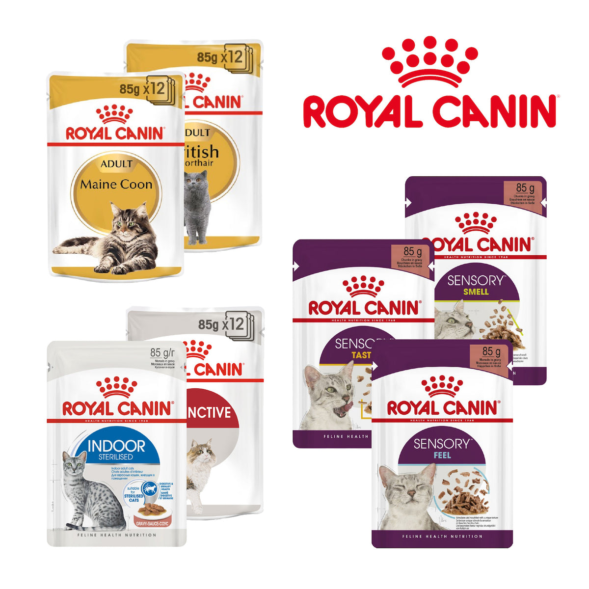 Royal Canin Adult Wet Cat Food Pouches