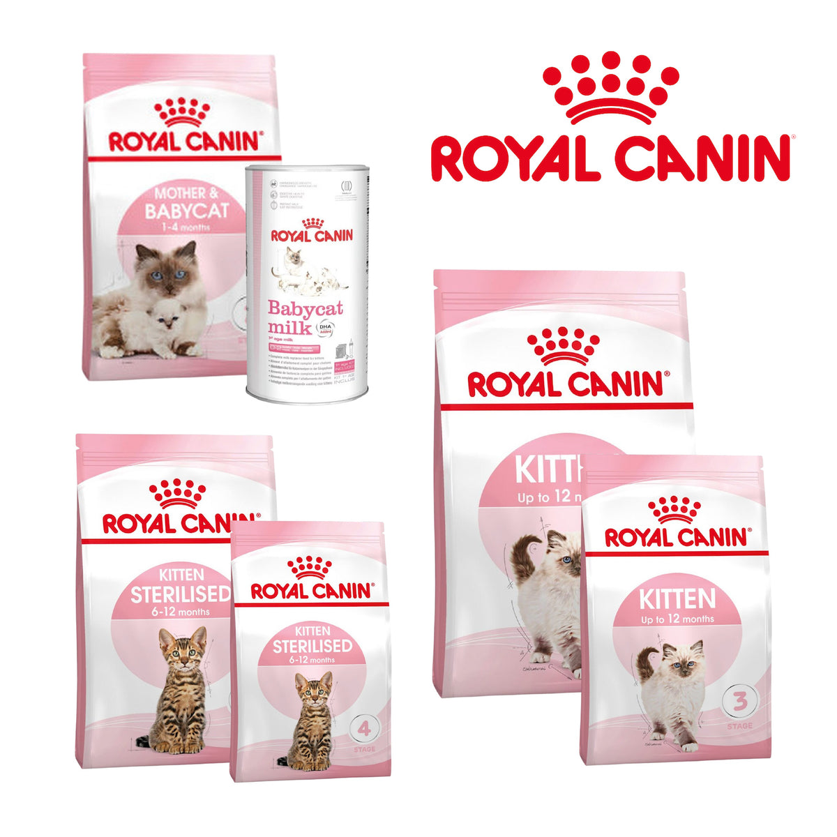 Royal Canin Kitten Dry Cat Food