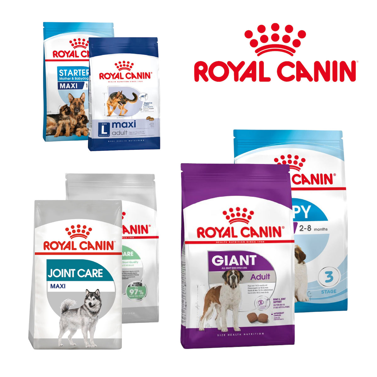 Royal Canin Maxi Giant Dry Dog Food