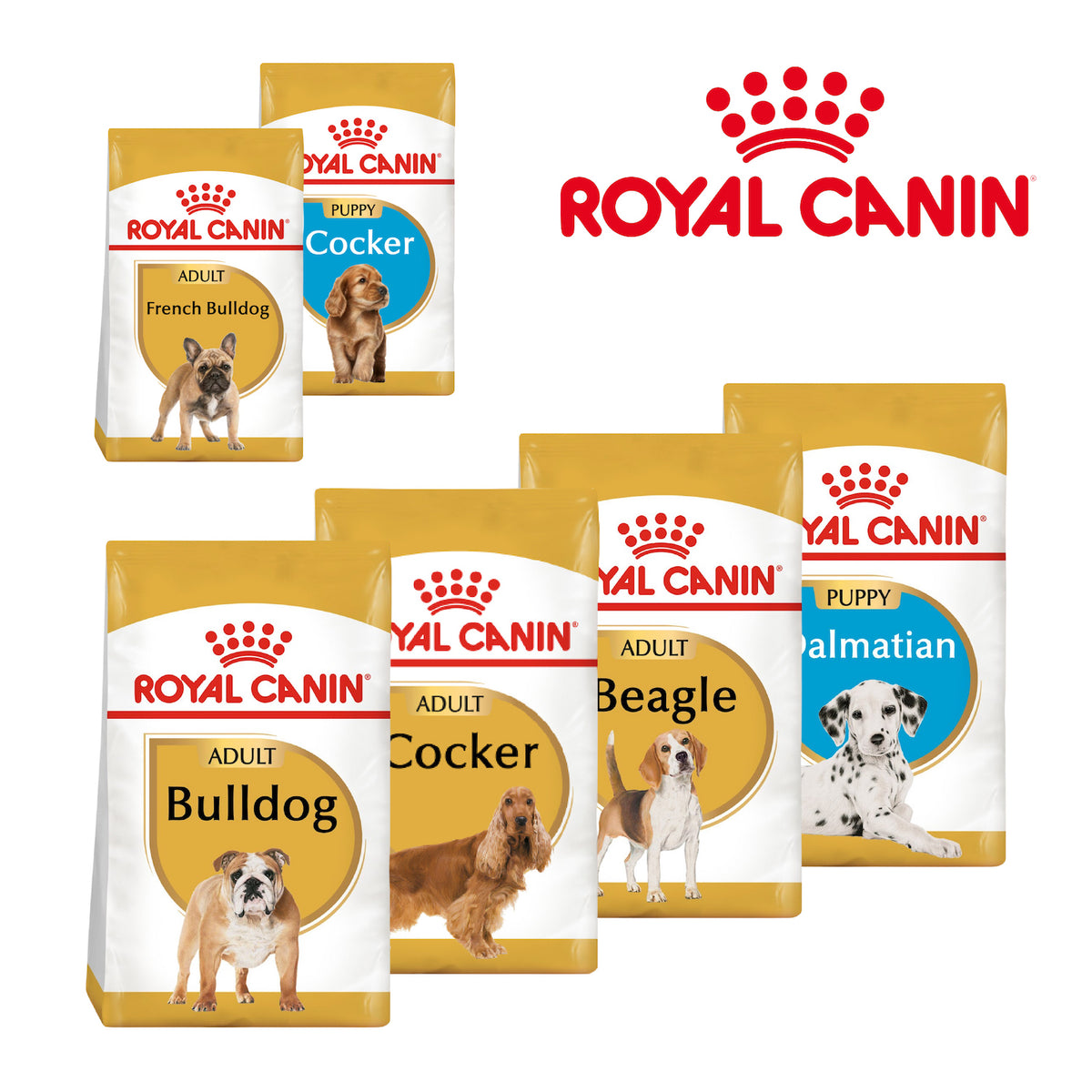 Royal Canin Medium Breed Dry Dog Food