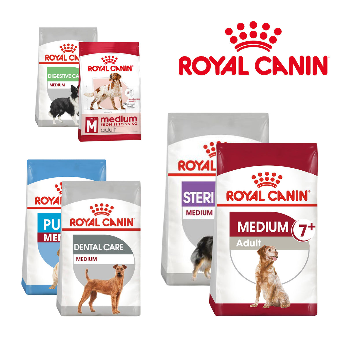 Royal Canin Medium Nutrition Dry Dog Food