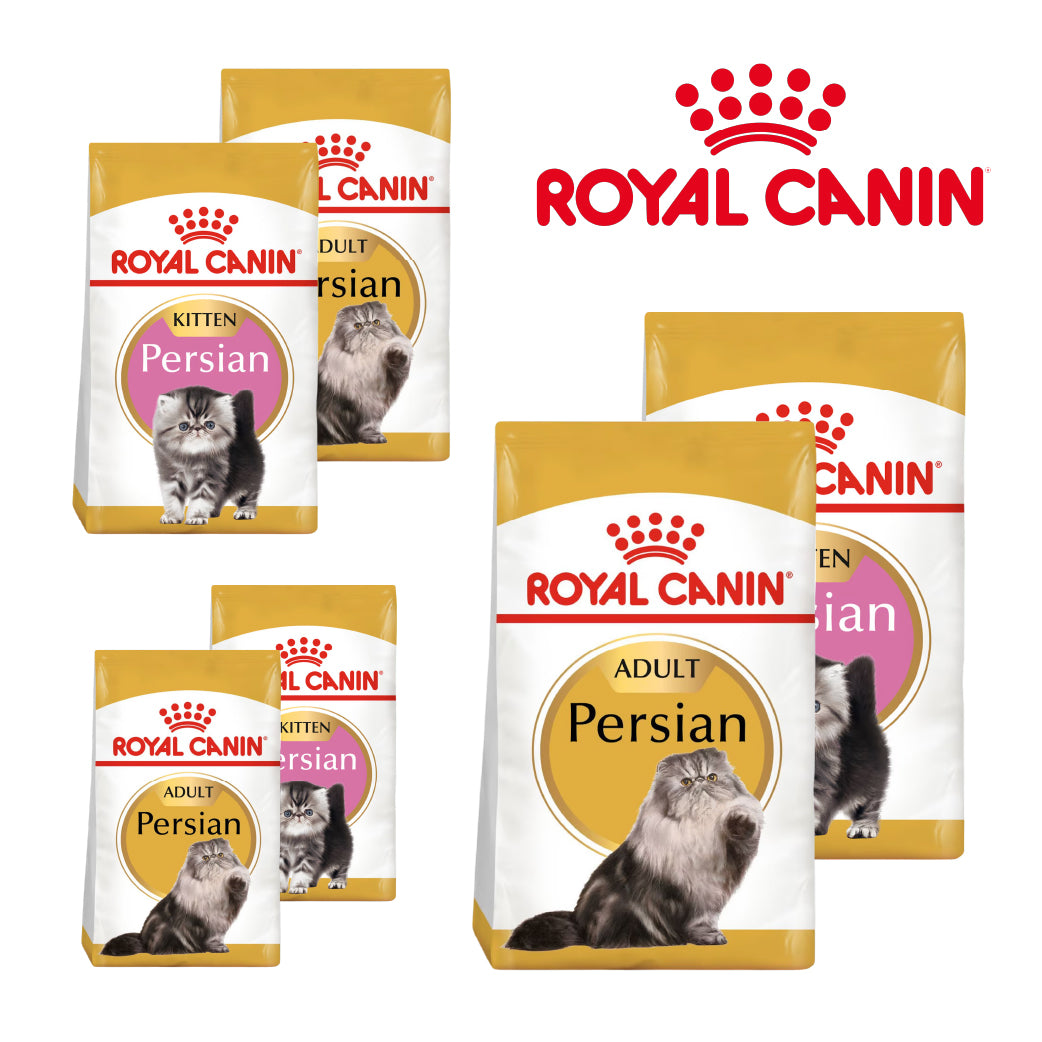 Royal Canin Persian Cat Food | Adult & Kitten