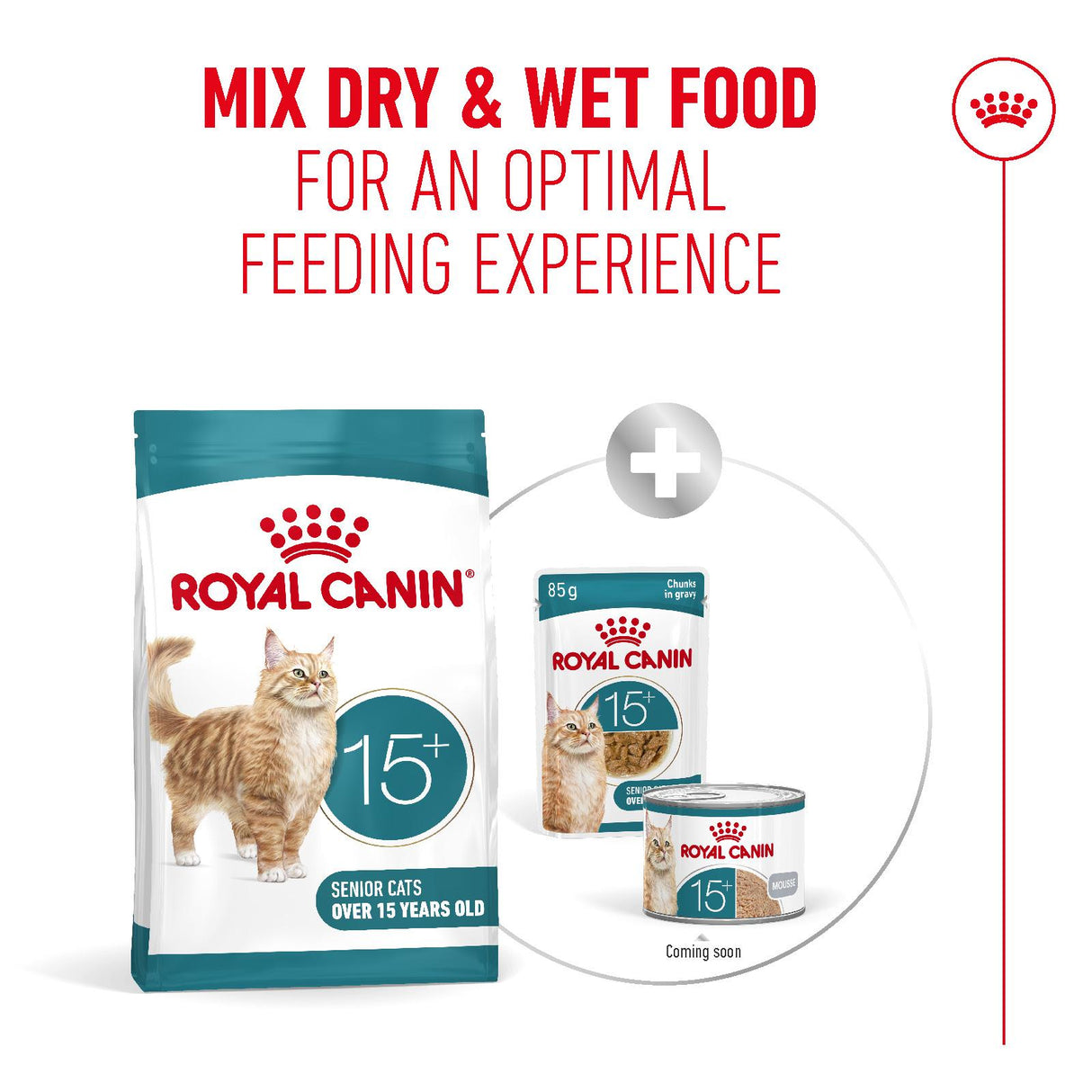 Royal Canin Ageing 15+ Senior Dry Cat Food - 400g