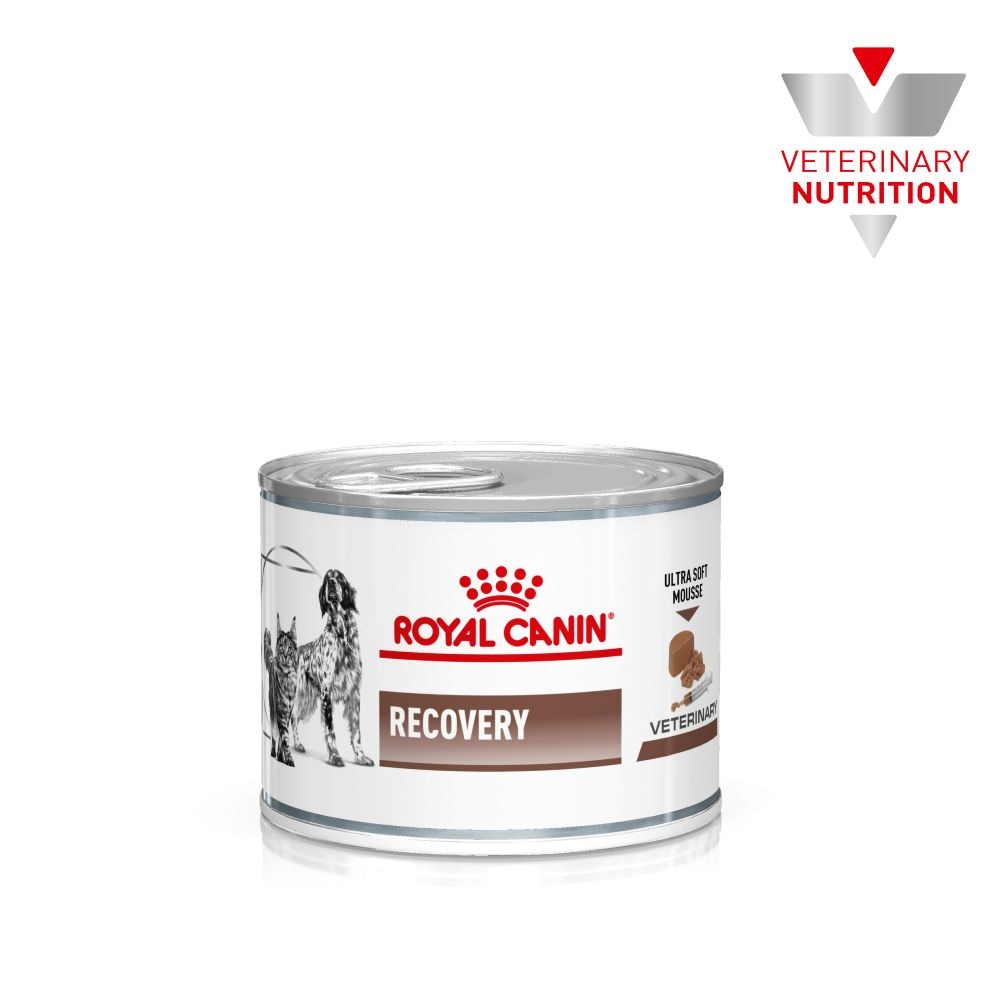 Royal Canin Recovery Ultra-Soft Mousse Adult Wet Cat and Dog Food Tins - 12 x 195g