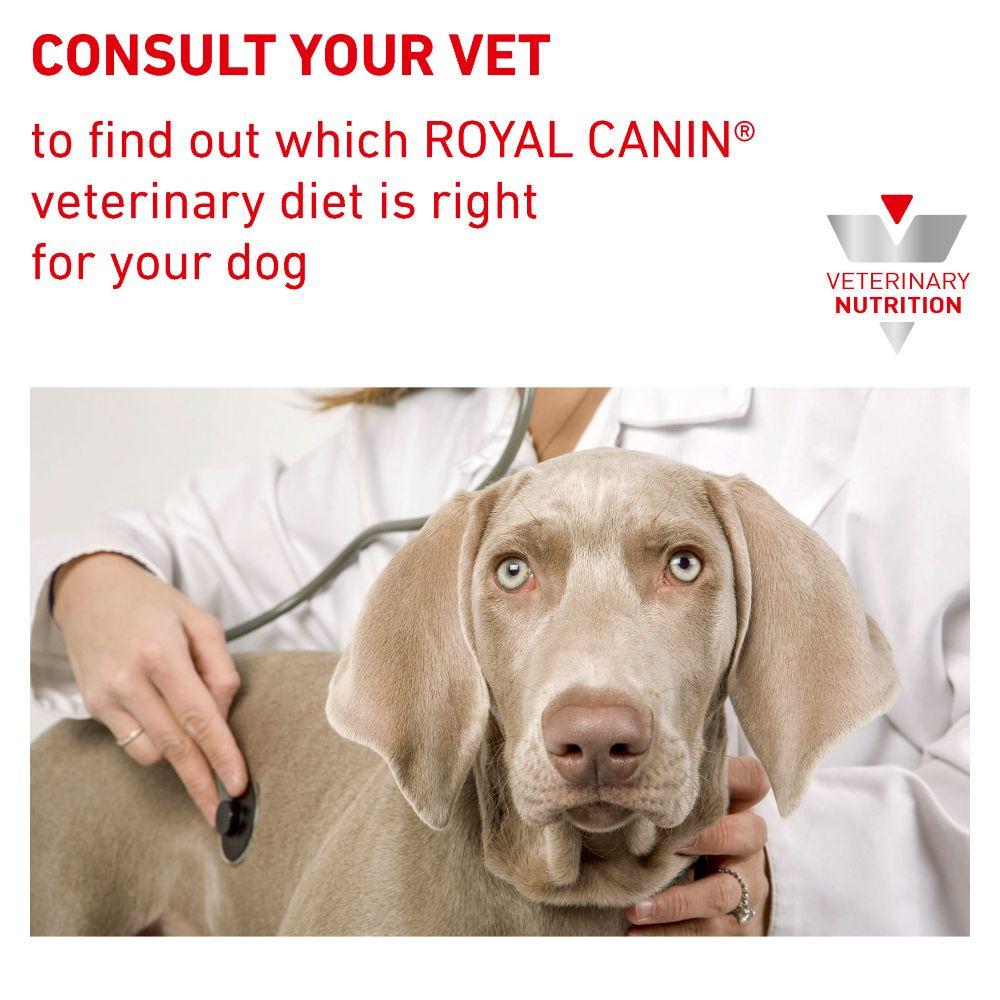 Royal Canin Sensitivity Control Duck With Rice Adult Wet Dog Food In Loaf - 12 x 410G