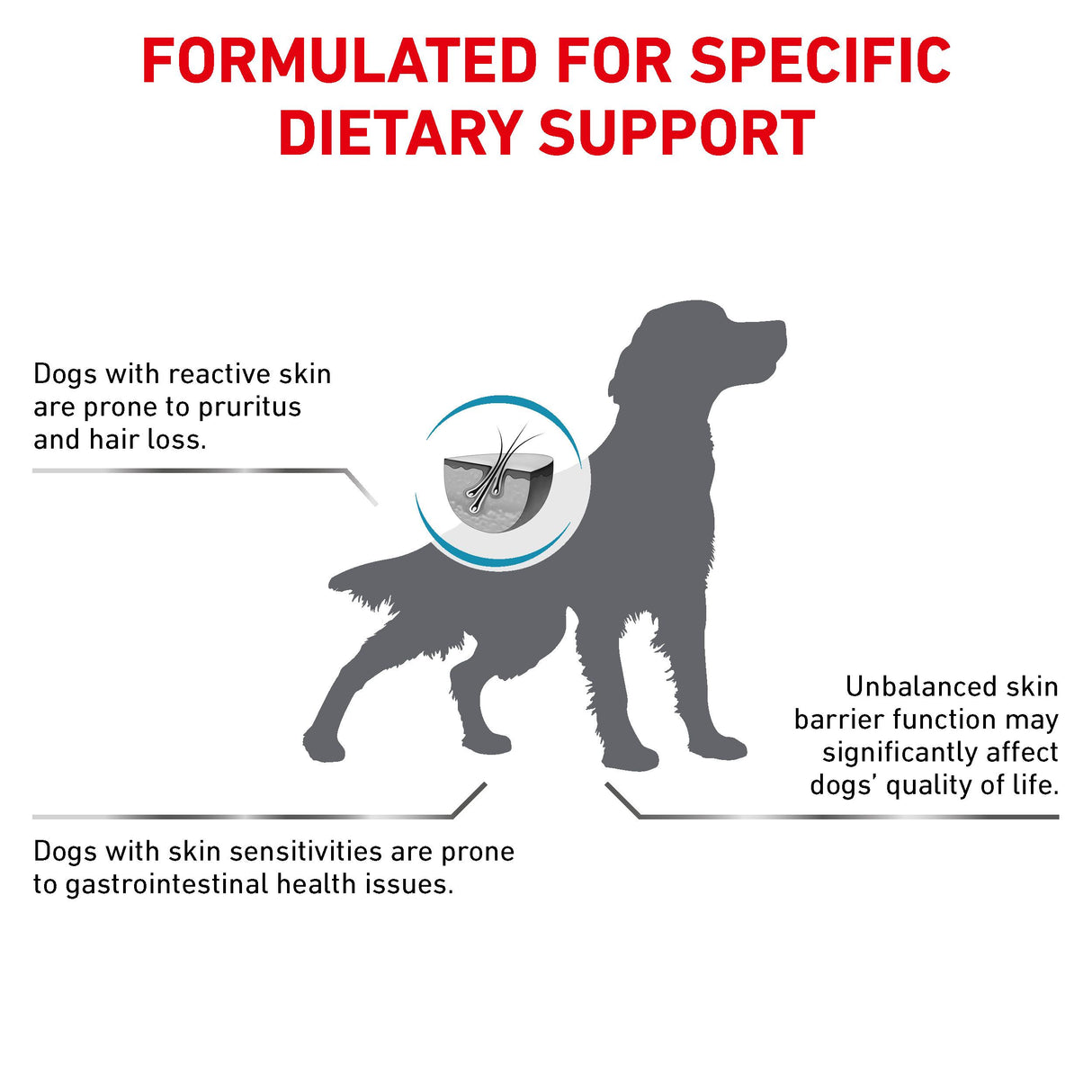 Royal Canin Skin Care Adult Dog Dry Food- 11Kg