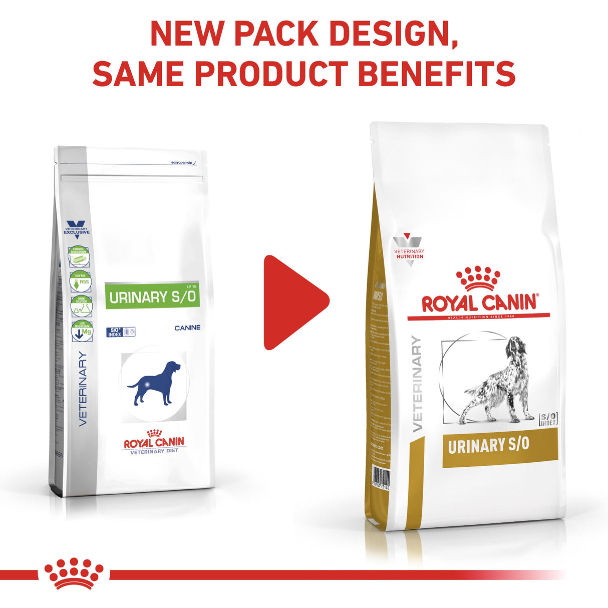 Royal Canin Urinary S/O Adult Dry Dog Food - 2Kg